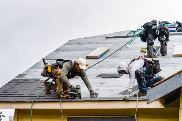 Professional Gutter Installation technician working in Zebulon, GA